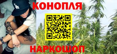 мдпв Партизанск