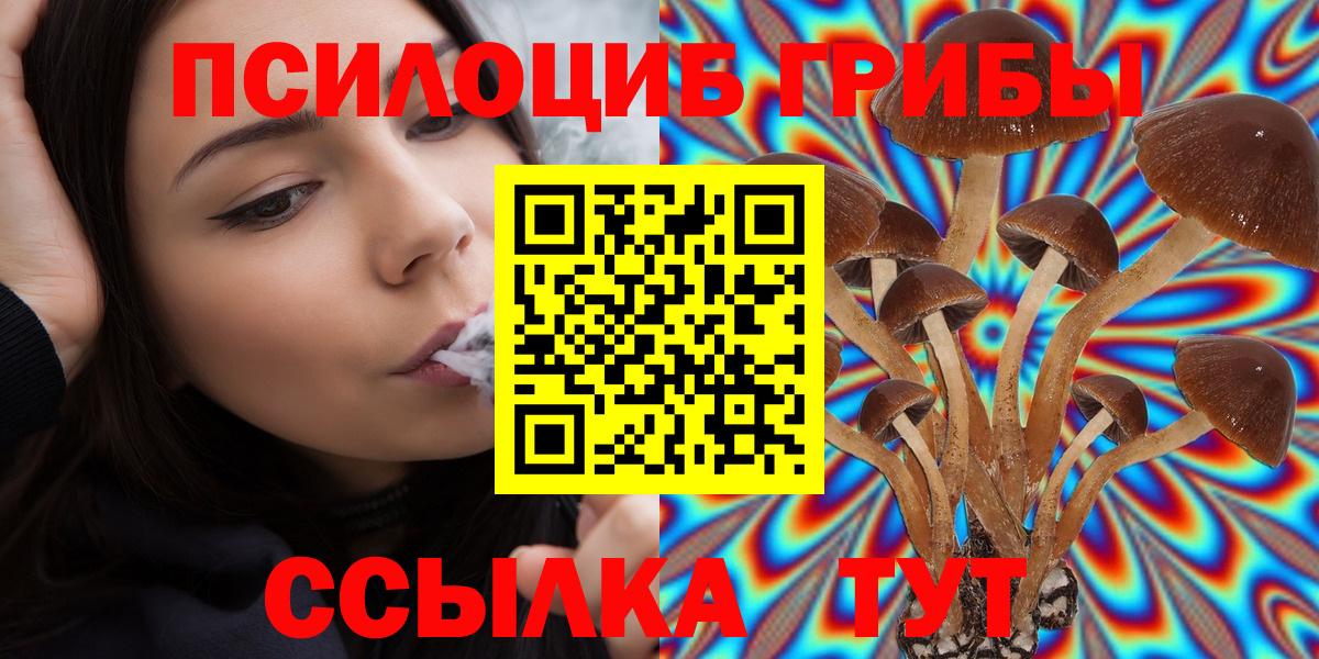 Псилоцибиновые грибы MAGIC MUSHROOMS  Галлюциногенные грибы мицелий  Рыбинск  Вход с VPN 
